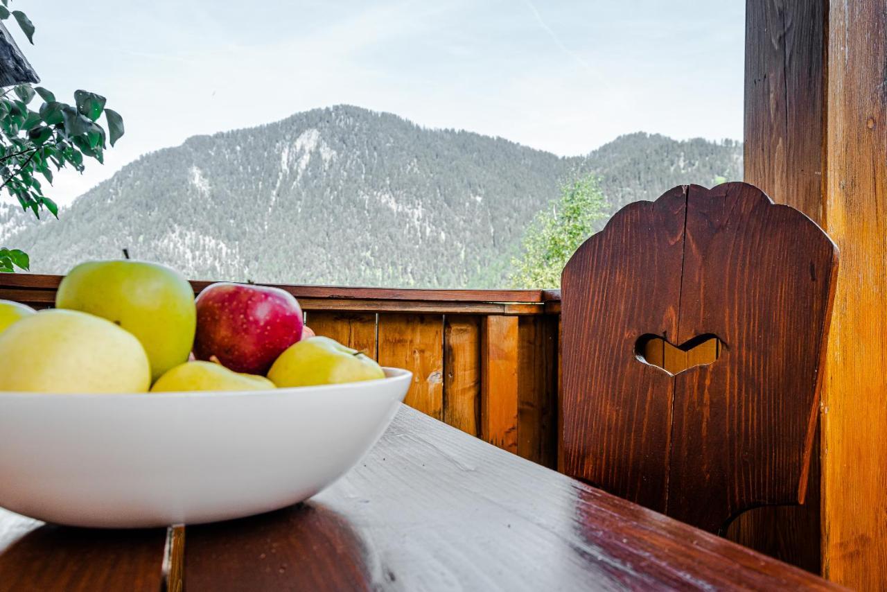 Apartment Dolomites Nest ซานมาร์ตีโน อิน บาร์เดีย ภายนอก รูปภาพ